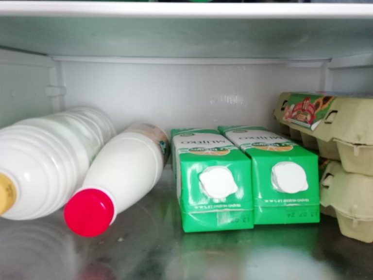 Jogurt, mlijeko i jaja na polici hladnjaka.